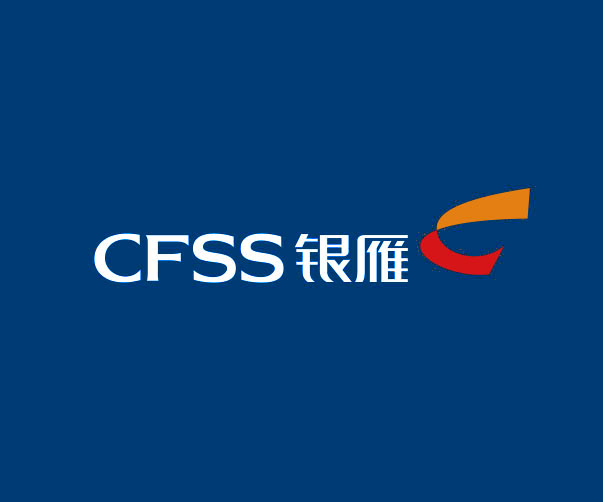 CFSS银雁集团