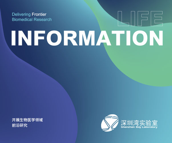 vi形象设计价格_VI形象设计价格怎样合理