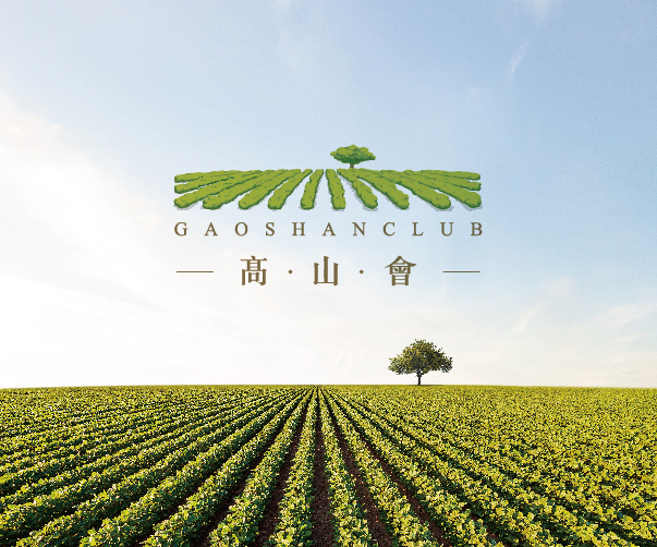 科创咨询公司VI设计：创新与科技感的完美融合