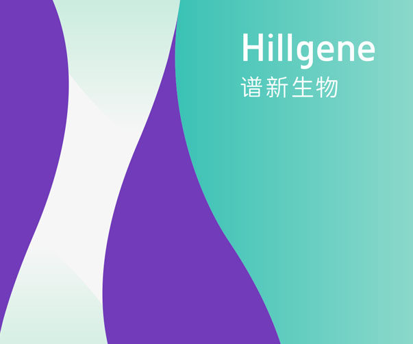 科技灵动，智能闪耀：打造科技公司PPT设计的灵动智能化之旅